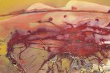 Polished Mookaite Jasper Slab - Australia #221850-1